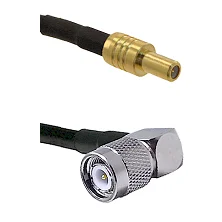 fieldcomponents202607192200582562530