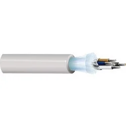prowireandcable202607171401131789493
