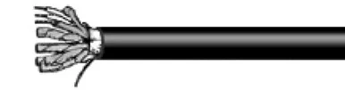 prowireandcable202607171511261803793